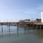 IMG_0348