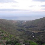 IMG_6586