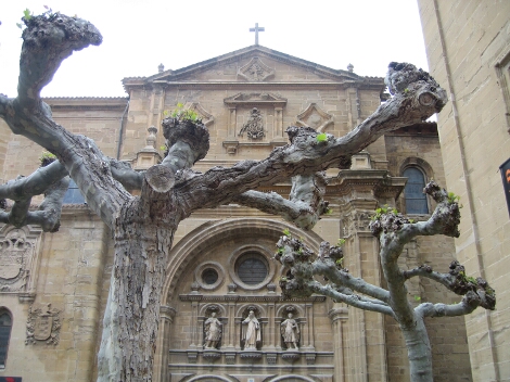 Catedral Santo Domingo de la Calzada img 5561 De puente en La Rioja yuso vino suso rioja millan haro españa bodegas